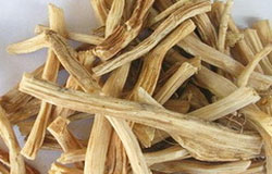 Asparagus Racemosus